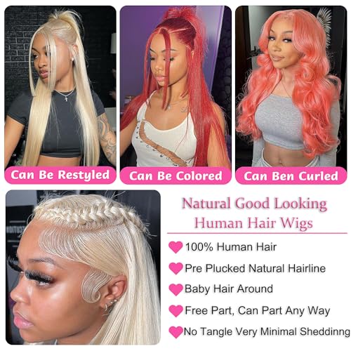 Trilumity 613 13X4 Blonde Straight Human Hair - Natural Black Hair Replacement Wig