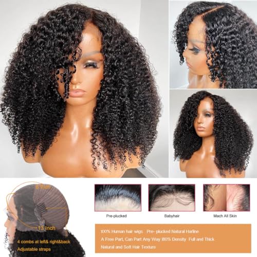 Trilumity Kinky 13X6 Front Curly Human Hair - Natural Black Hair Replacement Wig